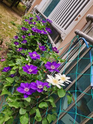 다야님의 자유주제 · 자유게시판 작성글 사진