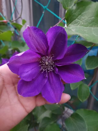 다야님의 자유주제 · 자유게시판 작성글 사진