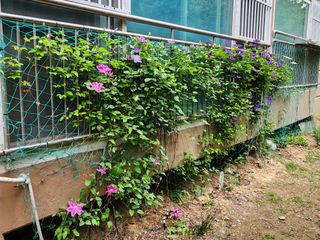 다야님의 자유주제 · 자유게시판 작성글 사진