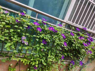 다야님의 자유주제 · 자유게시판 작성글 사진