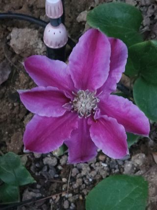 다야님의 자유주제 · 자유게시판 작성글 사진