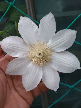 다야님의 자유주제 · 자유게시판 작성글 사진