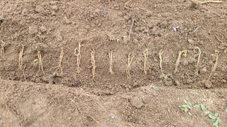 조병대님의 기타작물 · 자유게시판 작성글 사진