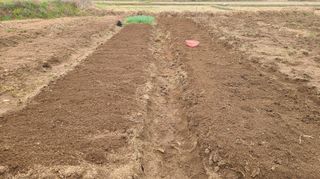 조병대님의 기타작물 · 자유게시판 작성글 사진