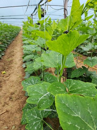 윤영걸님의 자유주제 · 자유게시판 작성글 사진