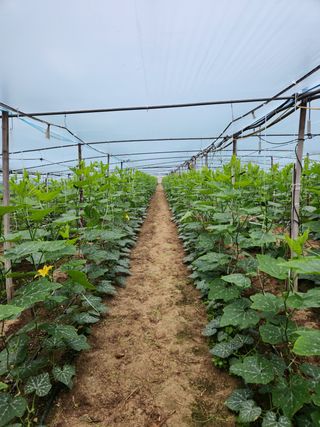 윤영걸님의 자유주제 · 자유게시판 작성글 사진