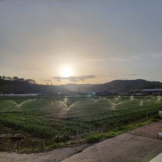 농사꾼 단비님의 자유주제 · 자유게시판 작성글 사진