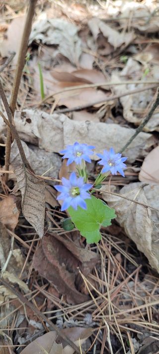 농사꾼 단비님의 자유주제 · 자유게시판 작성글 사진