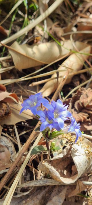 농사꾼 단비님의 자유주제 · 자유게시판 작성글 사진