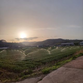 농사꾼 단비님의 자유주제 · 자유게시판 작성글 사진