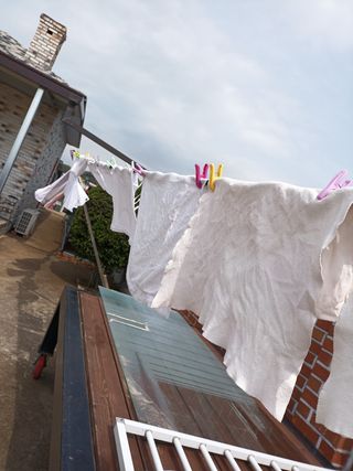 김은숙님의 자유주제 · 사진전 작성글 사진