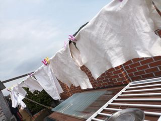 김은숙님의 자유주제 · 사진전 작성글 사진