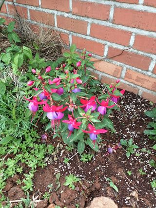 김은숙님의 자유주제 · 사진전 작성글 사진