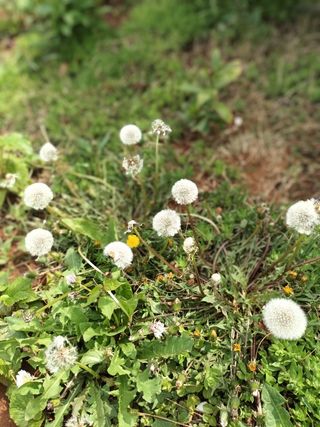 김은숙님의 자유주제 · 사진전 작성글 사진