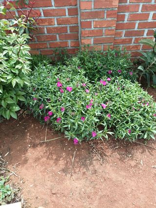 김은숙님의 자유주제 · 사진전 작성글 사진