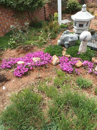 김은숙님의 자유주제 · 사진전 작성글 사진