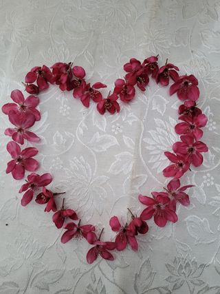 소망농장 아낙 님의 사과 · 일상 작성글 사진