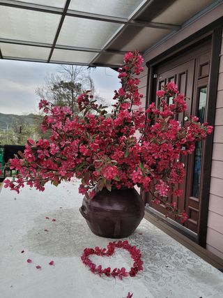 소망농장 아낙 님의 사과 · 일상 작성글 사진