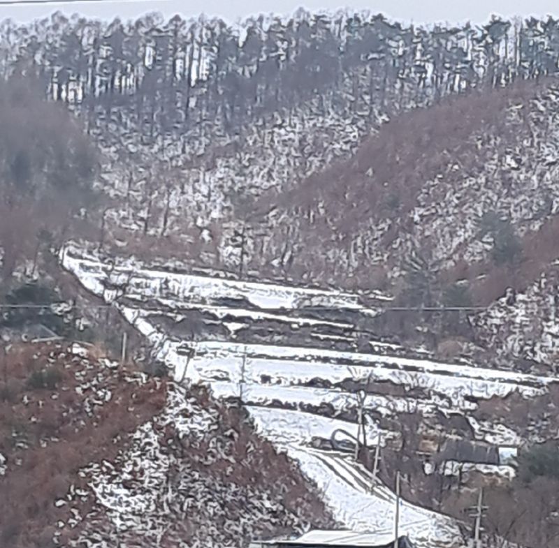 박성희님의 장터 판매 상품 [자연산 참두릅1k] 첨부 사진