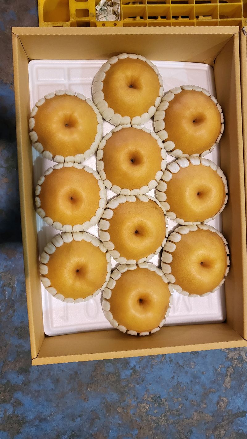 장터 상품 [신고배 7.5kg] 썸네일