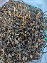 팜모닝 · 게시글 이미지