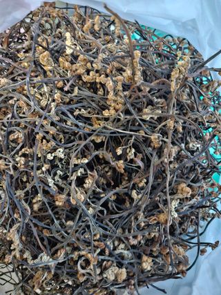 정완희 님의 작성글 사진