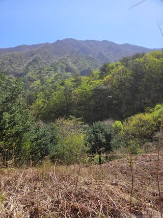 정완희 님의 작성글 사진