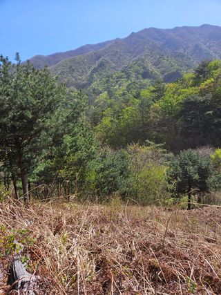 정완희 님의 작성글 사진