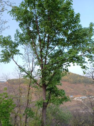 알 수 없음님의 기타작물 · 자유게시판 작성글 사진