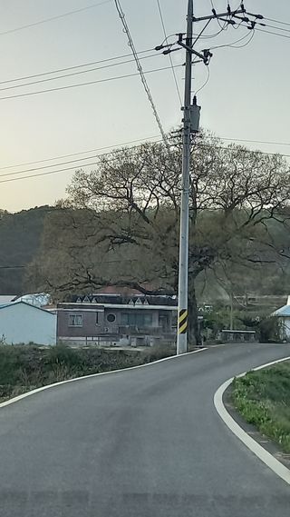 박신영님의 우리동네 · 동네정보 작성글 사진