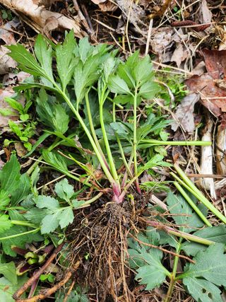 장흥 모경화 님의 작성글 사진