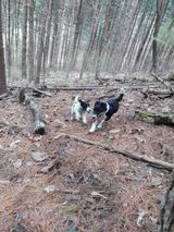 팜모닝 자유주제·사진전 게시글 이미지