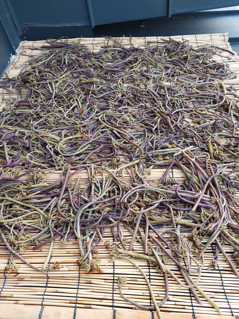 장터 상품 [제주도고사리] 썸네일