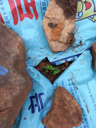 송남호님의 자유주제 · 자유게시판 작성글 사진