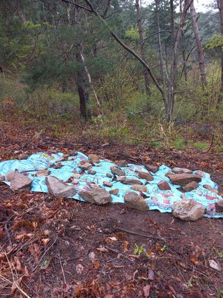 송남호님의 자유주제 · 자유게시판 작성글 사진