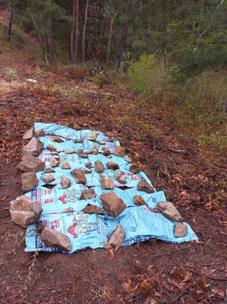 송남호님의 자유주제 · 자유게시판 작성글 사진