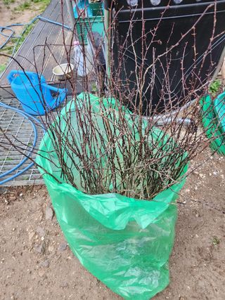 정영숙님의 자유주제 · 자유게시판 작성글 사진