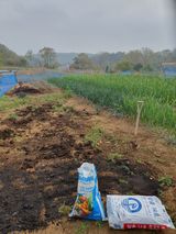 팜모닝 마늘·토양준비 게시글 이미지