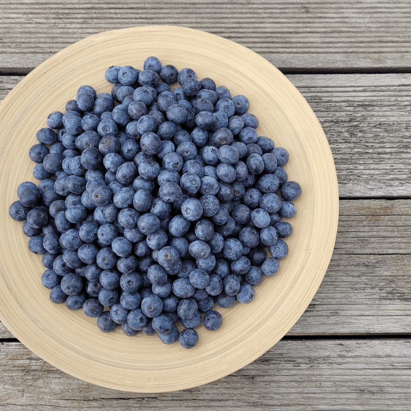 장터 상품 [가격인하 당도좋은 "블루베리" 팔아요 ] 썸네일