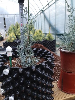 충남 아산 박양석 님의 기타작물 · 자유게시판 작성글 사진