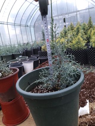 충남 아산 박양석 님의 기타작물 · 자유게시판 작성글 사진