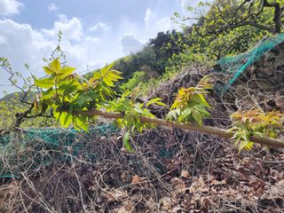 정영숙님의 자유주제 · 자유게시판 작성글 사진