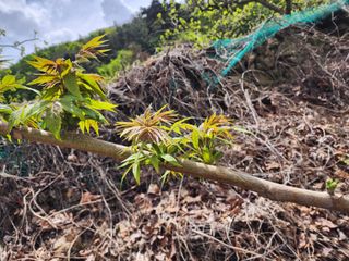 정영숙님의 자유주제 · 자유게시판 작성글 사진
