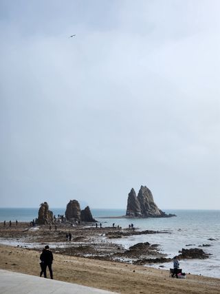 봉우재농부님의 자유주제 · 자유게시판 작성글 사진