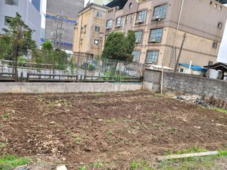 조영락님의 자유주제 · 사진전 작성글 사진