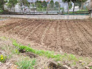 조영락님의 자유주제 · 사진전 작성글 사진