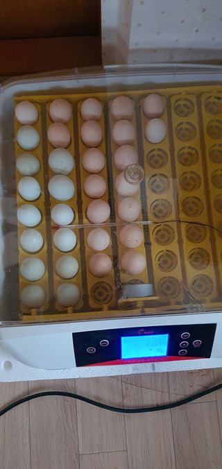 하얀그림자님의 자유주제 · 자유게시판 작성글 사진