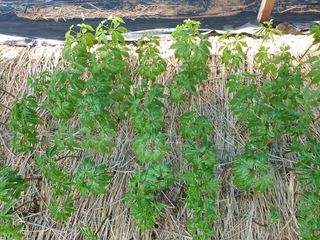 임동현님의 자유주제 · 자유게시판 작성글 사진