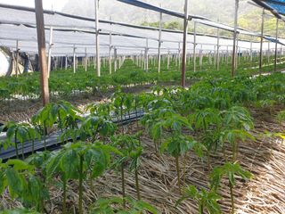 임동현님의 자유주제 · 자유게시판 작성글 사진