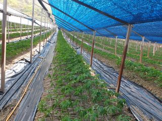 임동현님의 자유주제 · 자유게시판 작성글 사진